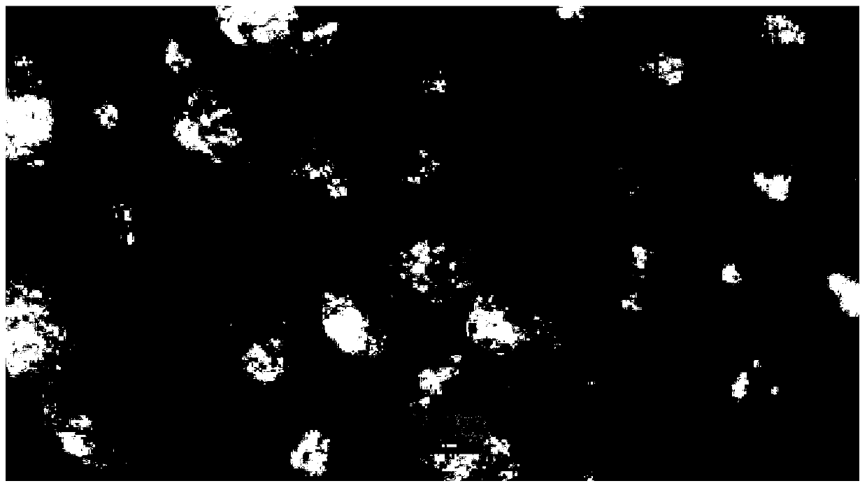 Enteric-coated pellets containing esomeprazole magnesium and preparation method thereof