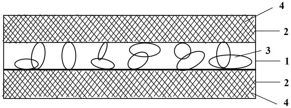 Para-aramid lithium battery diaphragm and preparation method thereof