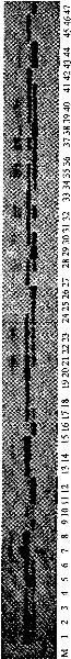 Primer sequence for identifying resistance of cucumber against alternaria cucumerina and identification method thereof