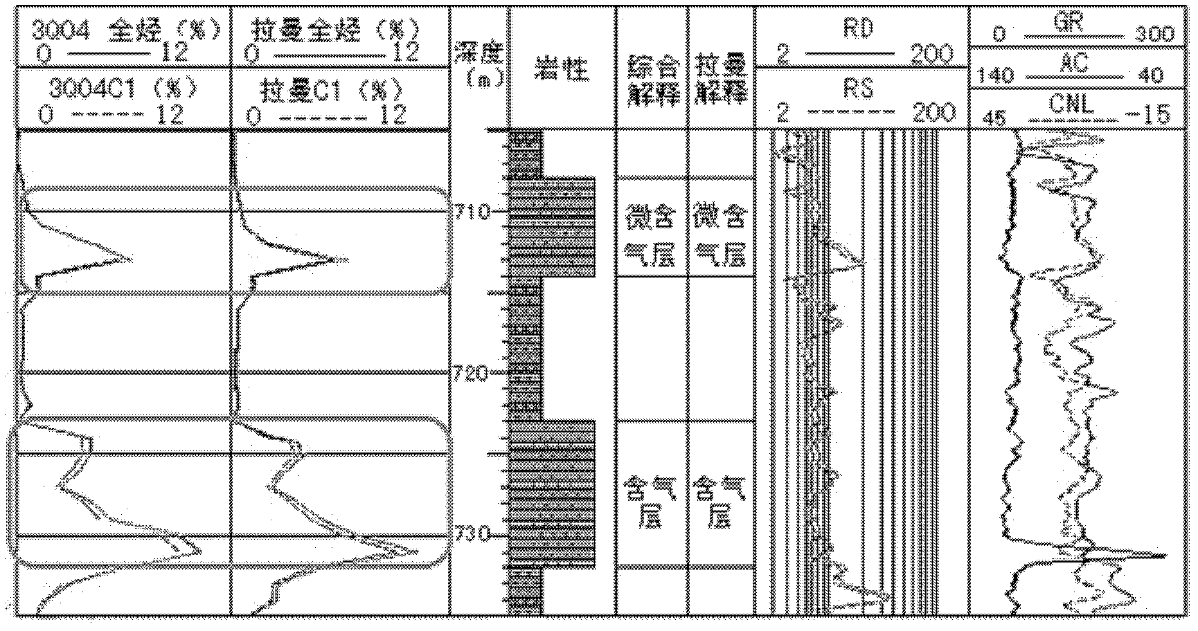 Raman spectrum gas detection system as well as detection method and application thereof