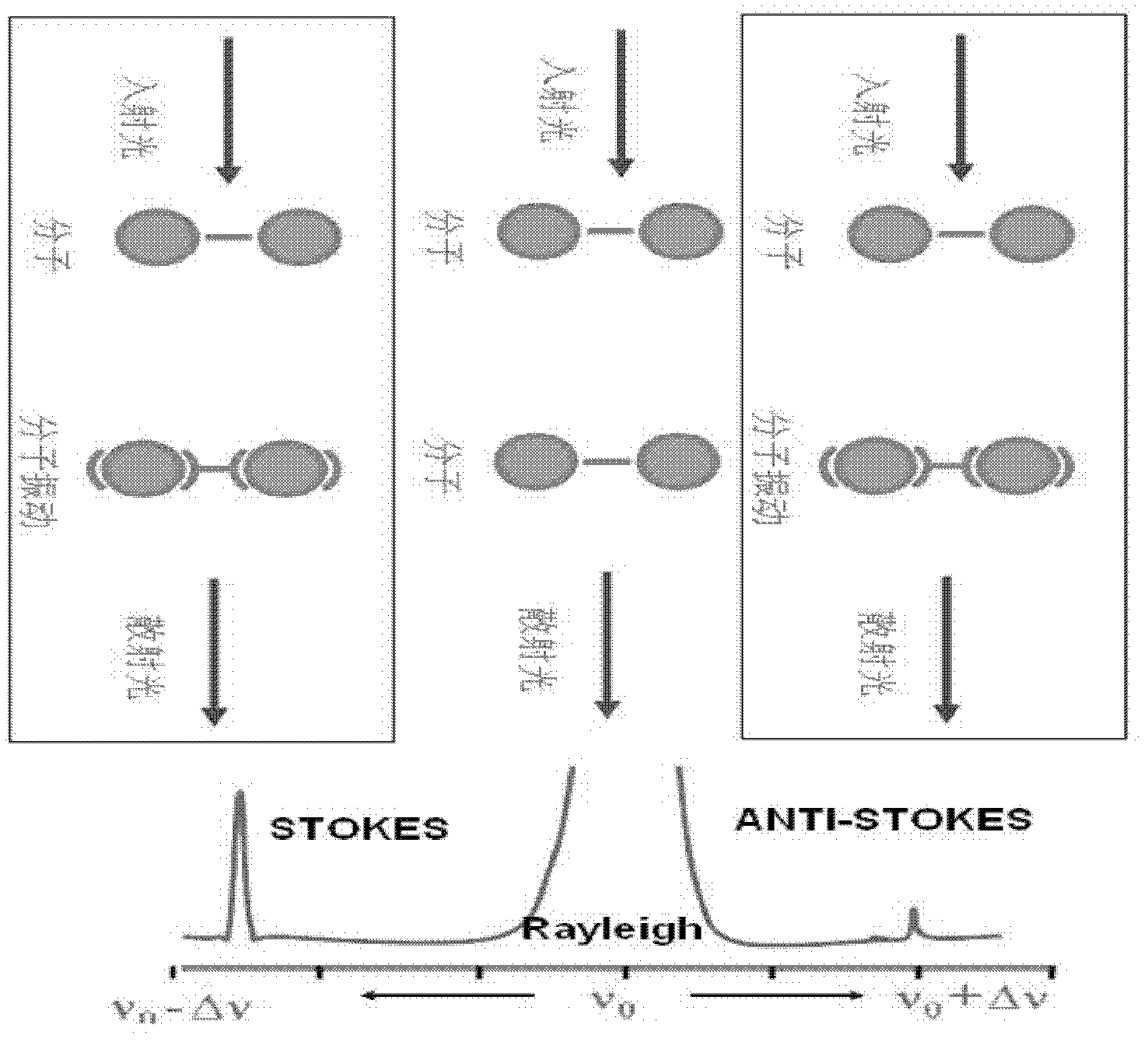 Raman spectrum gas detection system as well as detection method and application thereof