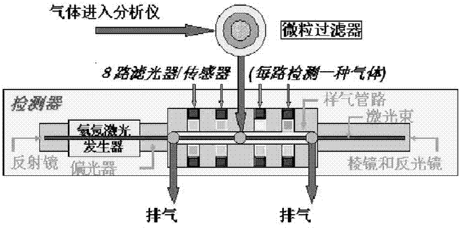 Raman spectrum gas detection system as well as detection method and application thereof