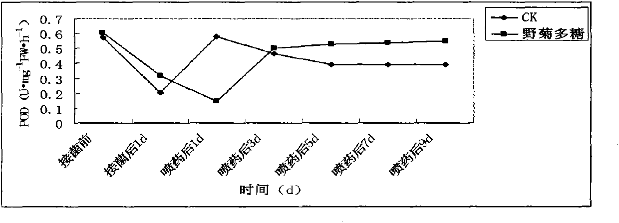 Application of chrysanthemum indicum polysaccharides agriculturally used as disease-resisting inductors