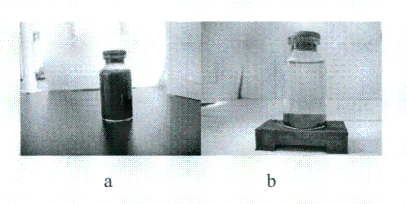 Inclusion complex of cyclodextrin/fe3o4 magnetic nanocomposite with ibuprofen