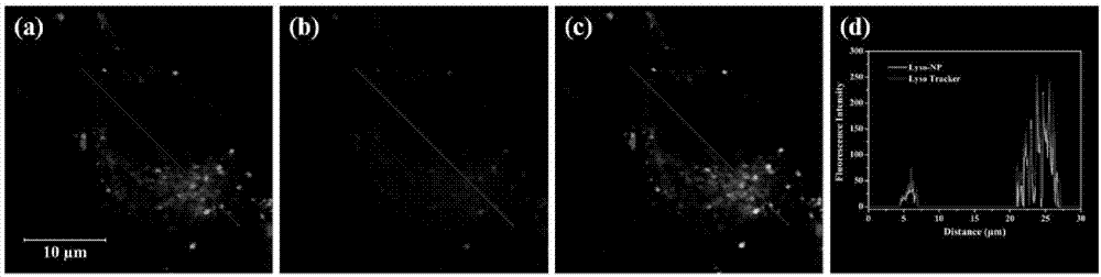 Lysosome targeted two-photonviscosityfluorescence probe and preparation method and application thereof