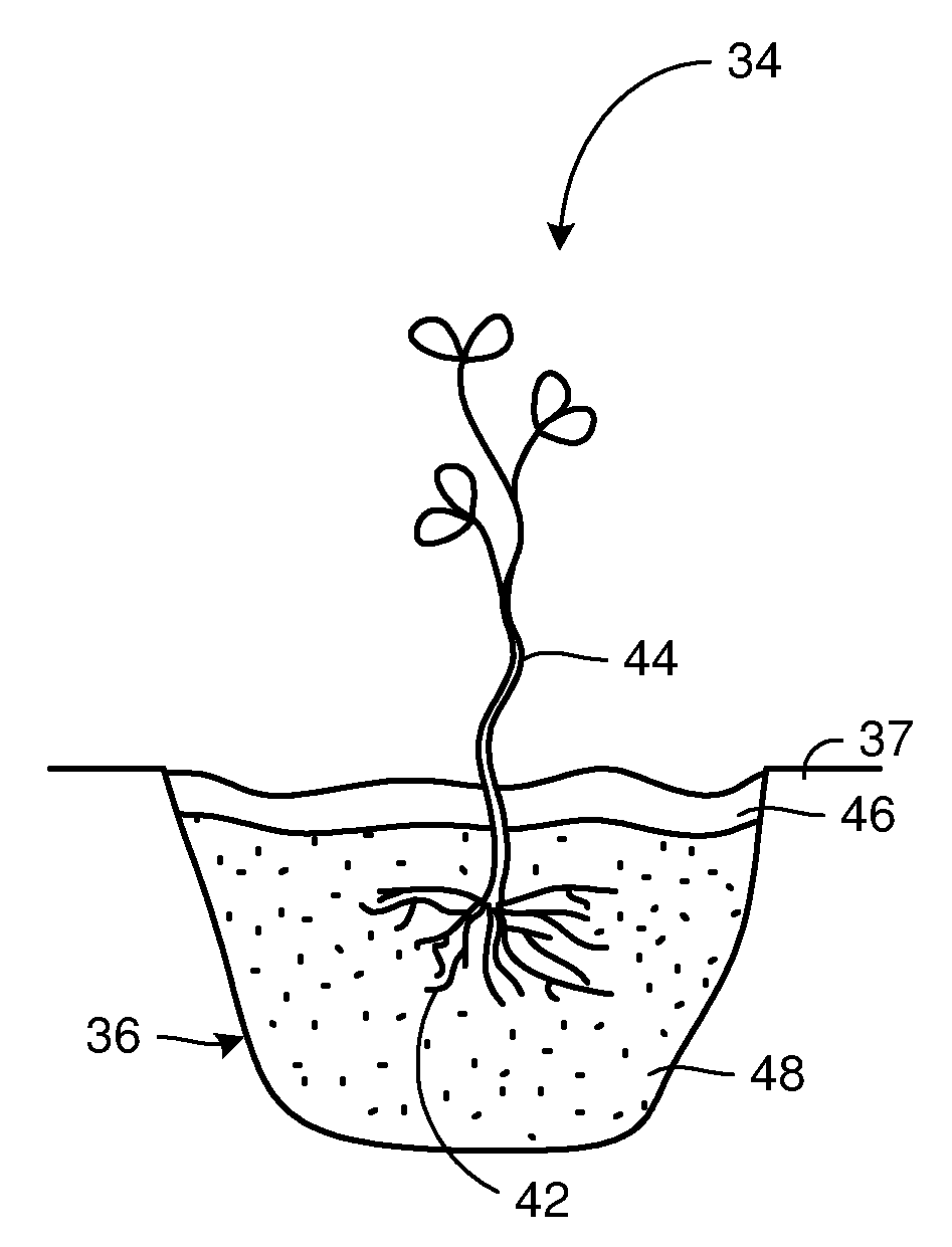 Hydration maintenance apparatus and method