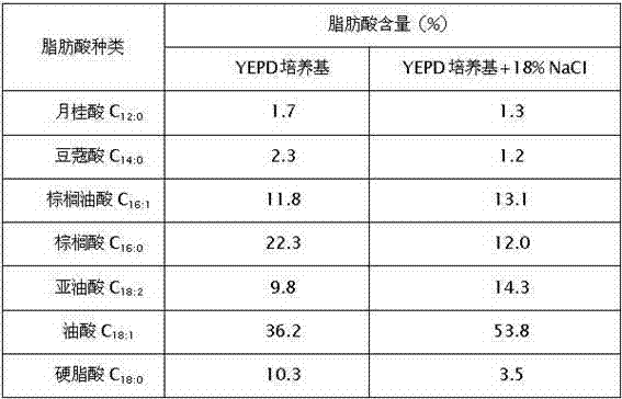 High-salt-tolerance Zygosaccharomyces rouxii A