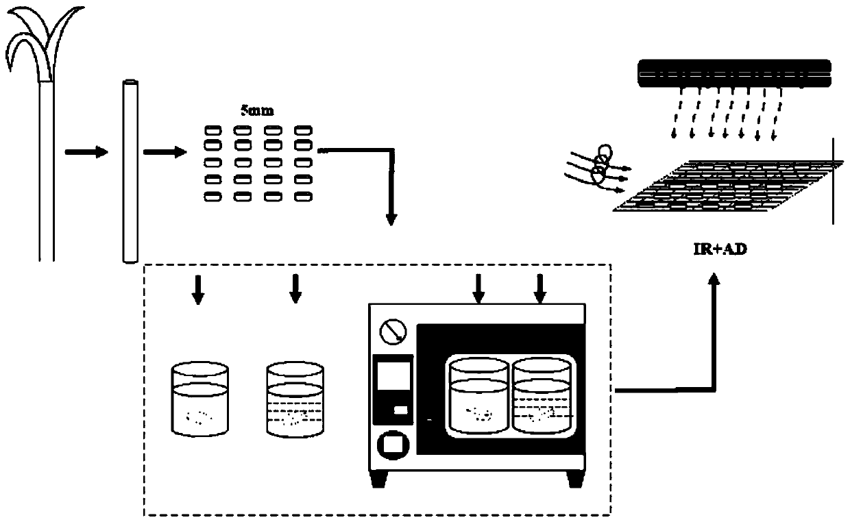 Infrared hot air drying method of fistular onion stalks pretreated through union of vacuum and ethanol