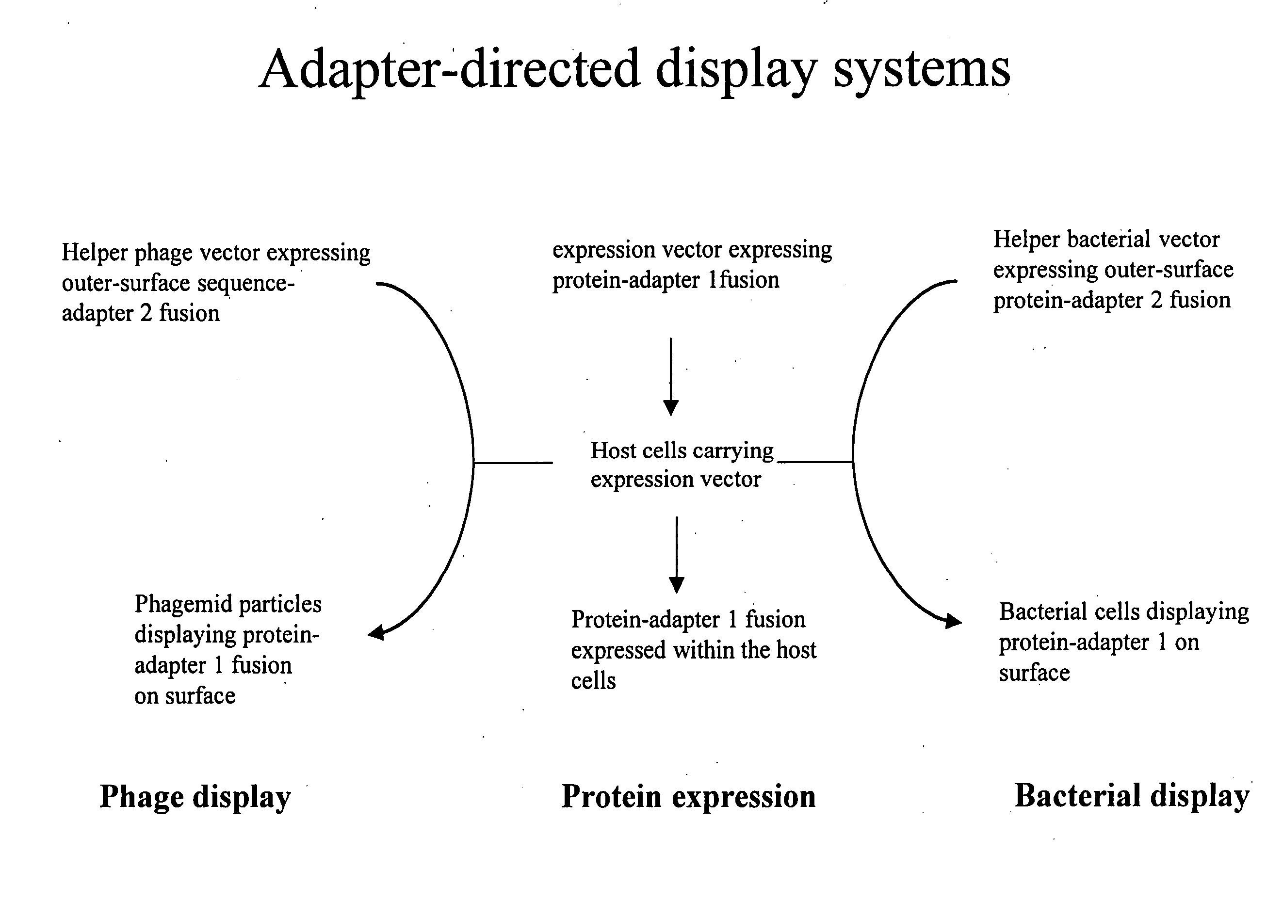 Adaptor-directed helper systems