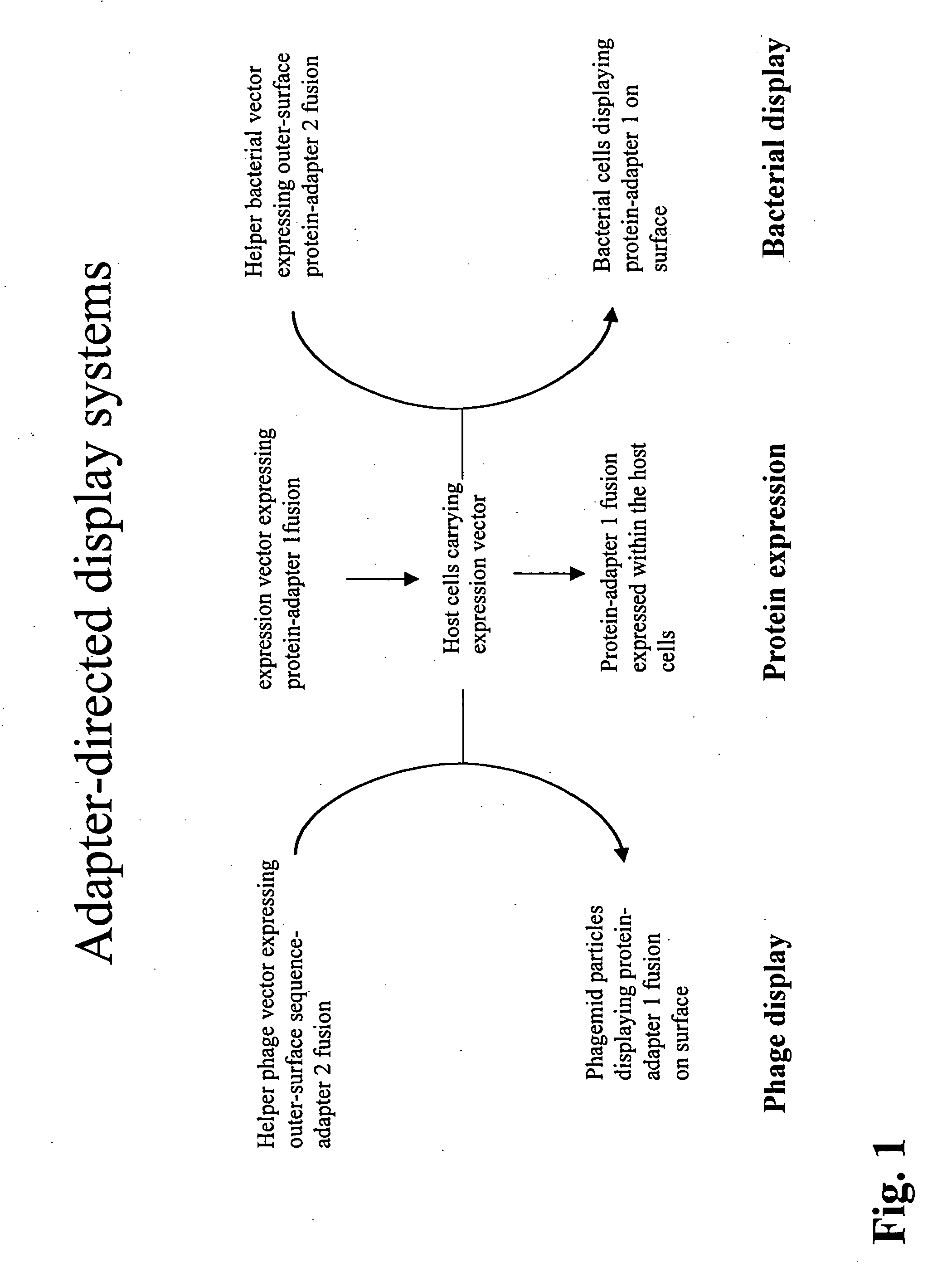 Adaptor-directed helper systems