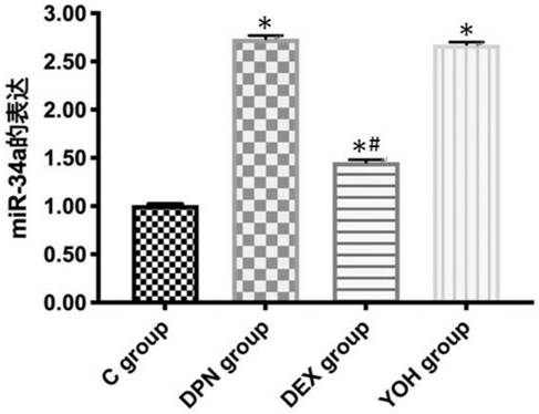 Application of dexmedetomidine in preparation of pharmaceutical composition for improving diabetic peripheral neuropathy