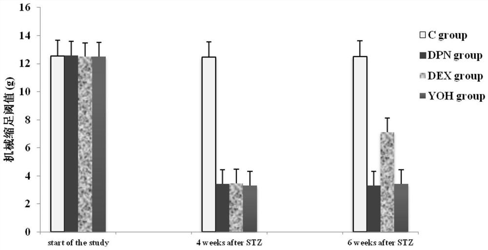 Application of dexmedetomidine in preparation of pharmaceutical composition for improving diabetic peripheral neuropathy