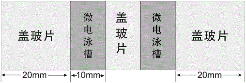 Kit using single cell gel electrophoresis for detecting cell DNA damage and method