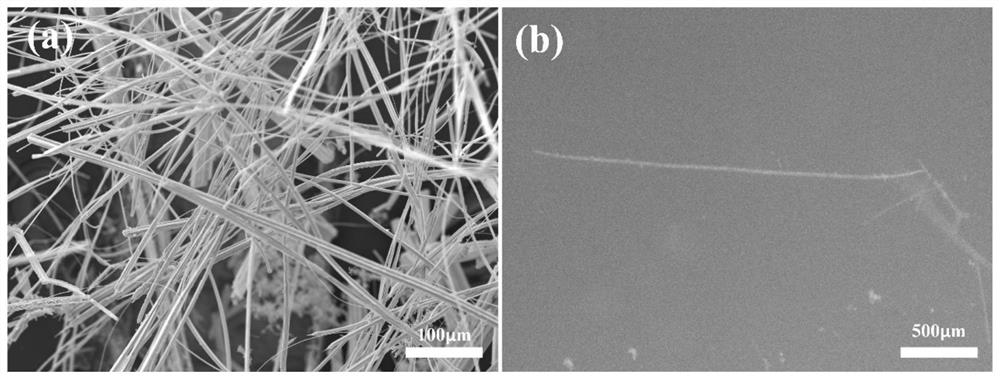 Ultra-long one-dimensional dihalogen tungsten dioxide material and preparation method thereof