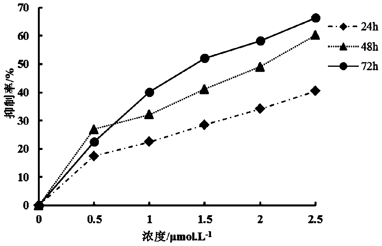 Application of basic fuchsin in tumor resistance, and drug