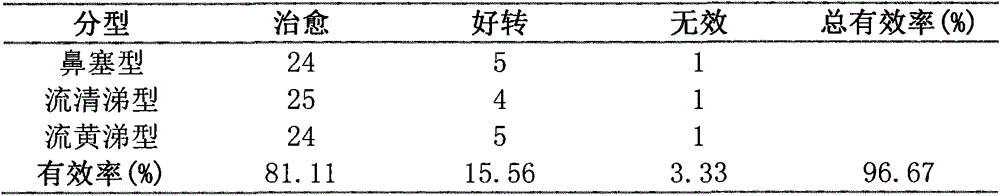 Traditional Chinese medicine composition for treating rhinitis and preparation method thereof