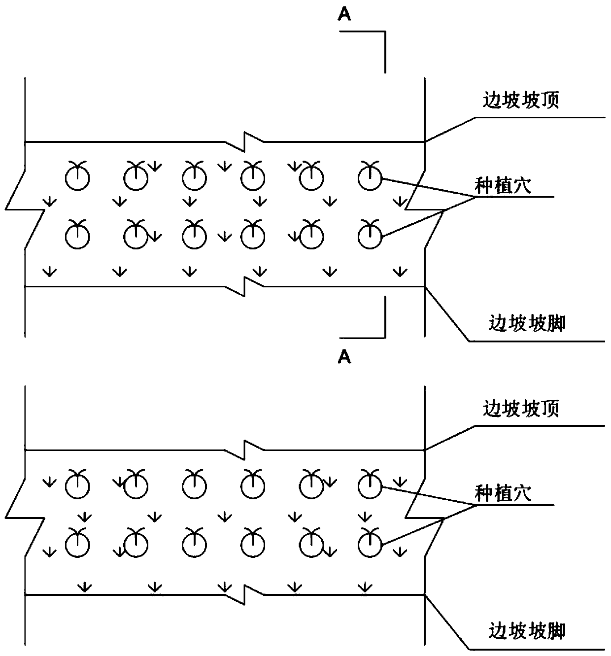 Side slope reinforcing construction method by combining vegetation with microorganisms and thin-walled steel tube for construction