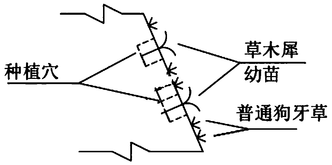 Side slope reinforcing construction method by combining vegetation with microorganisms and thin-walled steel tube for construction