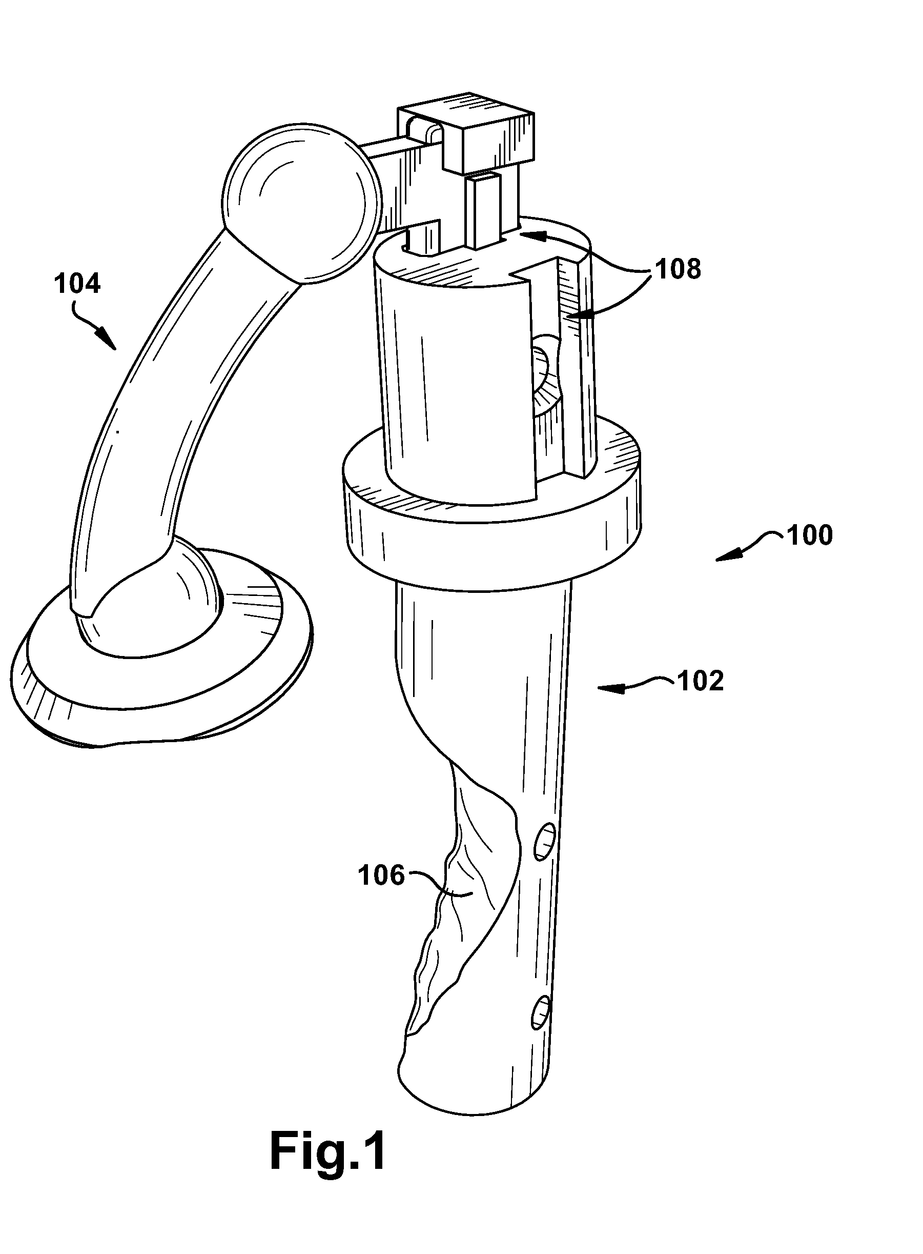 Apparatus and method for providing a reference indication to a patient tissue