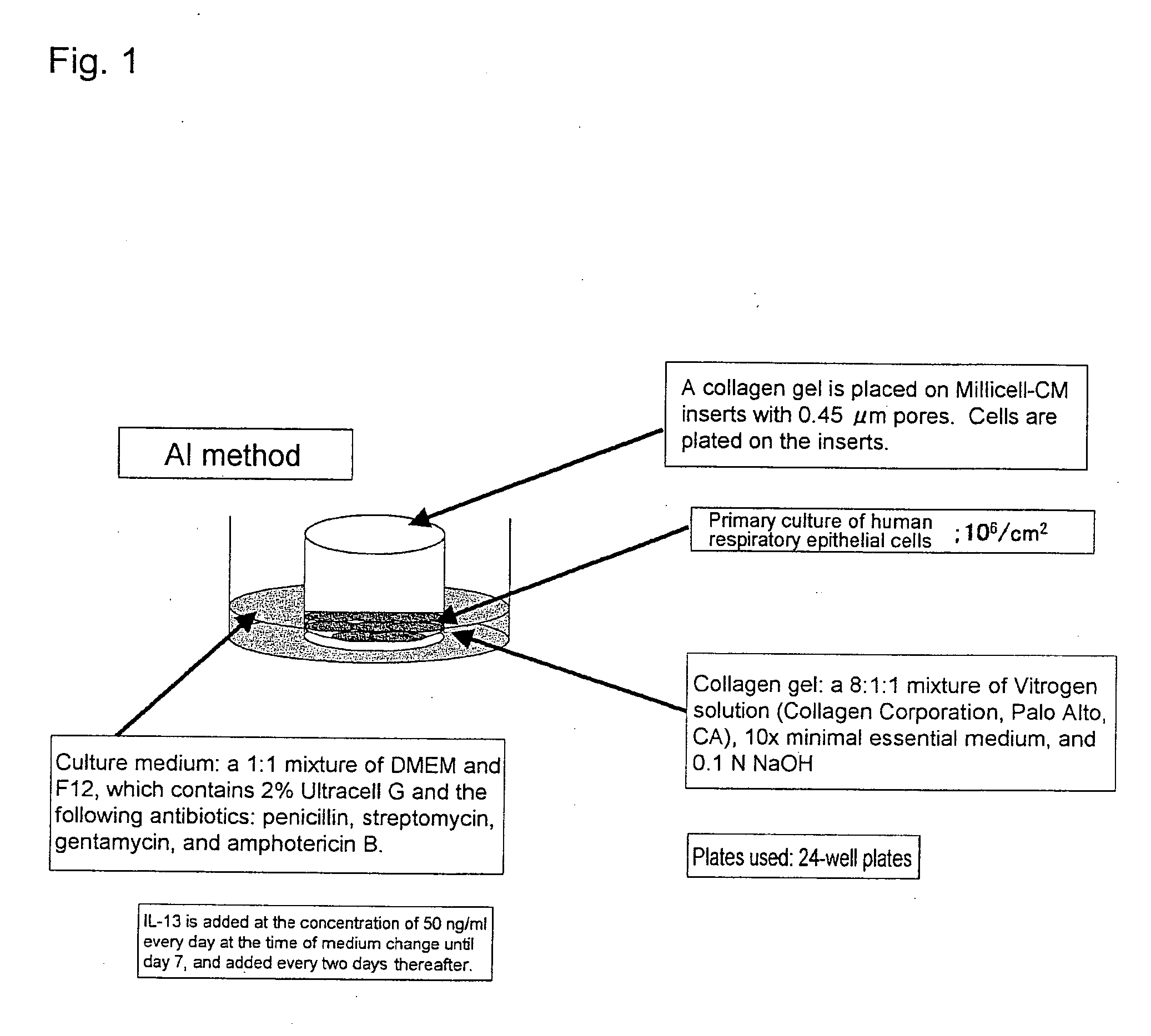 Methods of testing for bronchial asthma or chronic obstructive pulmonary disease