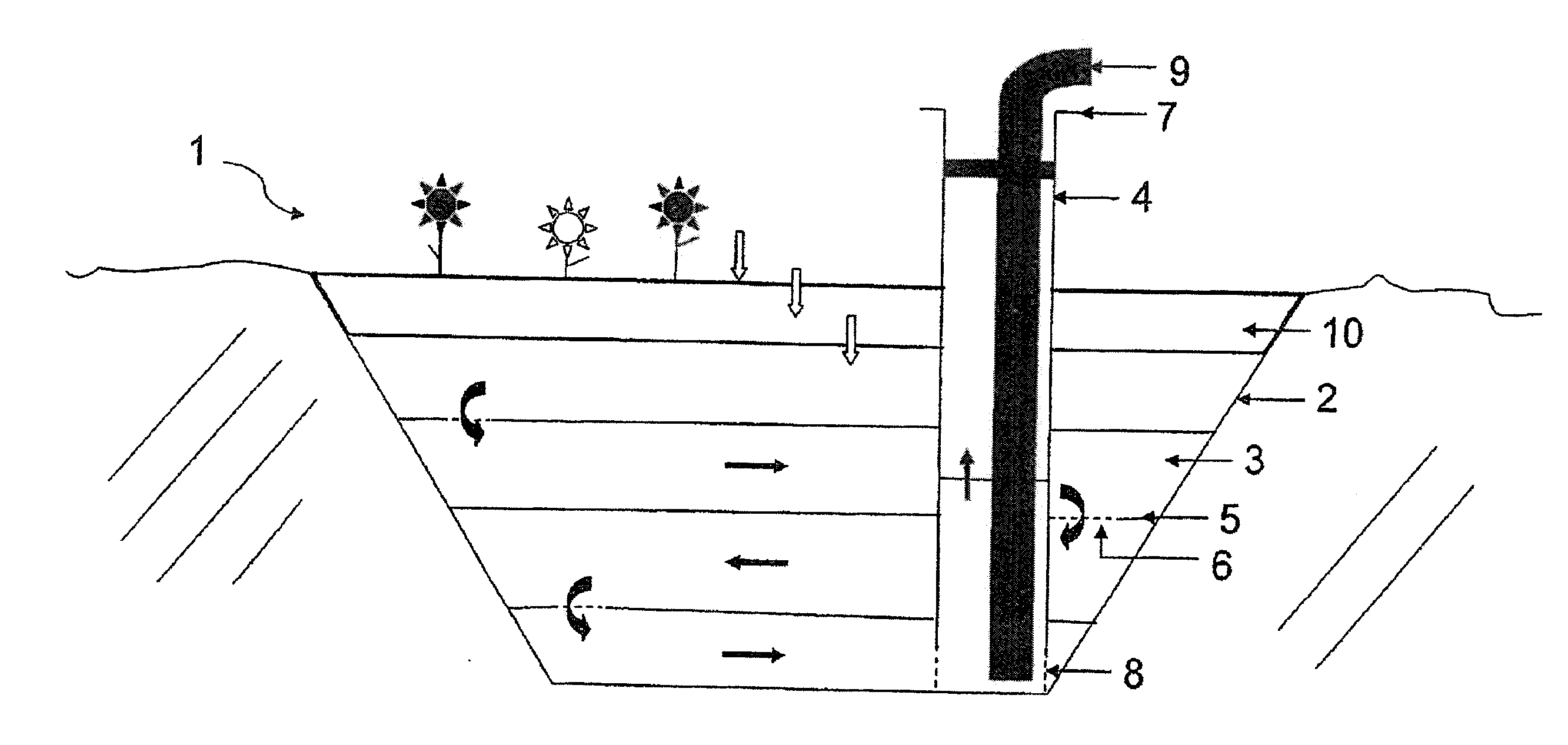 Water-storage and water-purification system