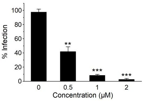 Application of polycyclic polyketone compound in preparation of medicine for resisting novel coronavirus