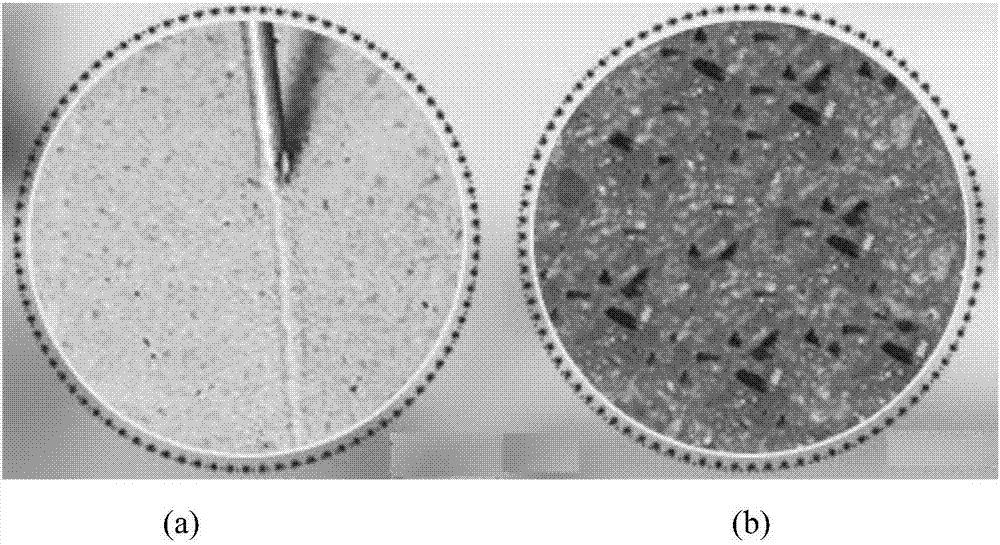 Silane concrete staining material and preparation method and application thereof