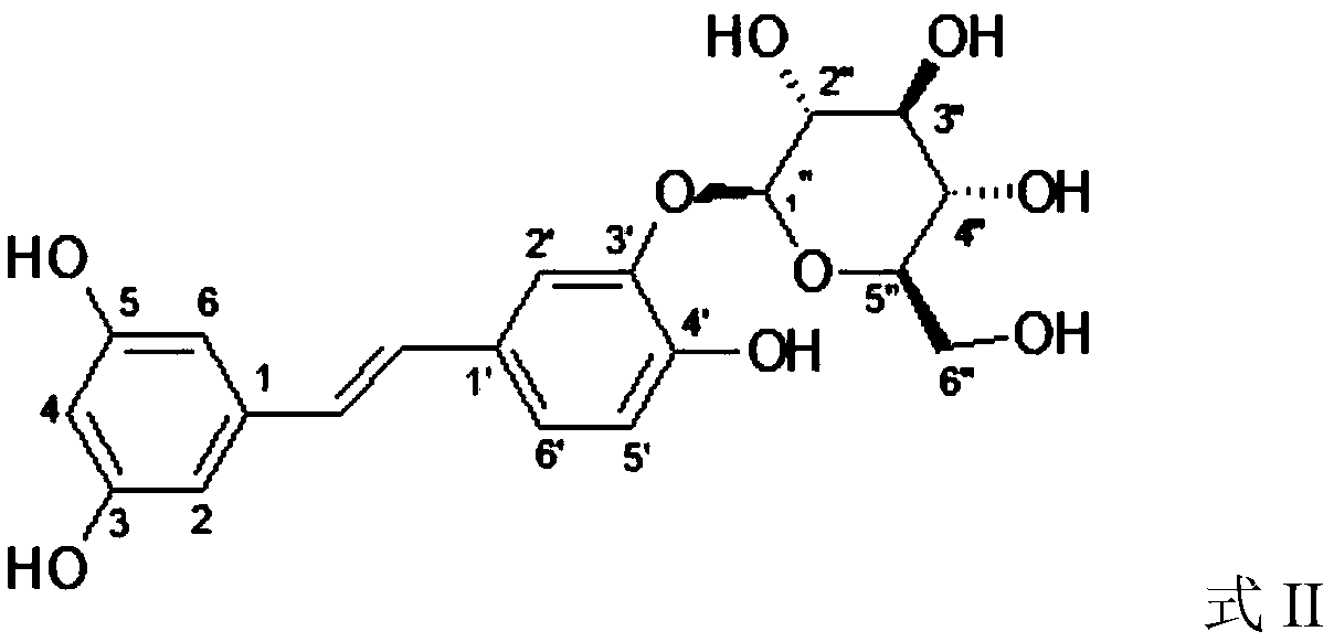 Extract of Rheum lhasaense A.J.Li etP.K.Hsiao and application of extract of Rheum lhasaense A.J.Li etP.K.Hsiaoin in preparation of medicine for preventing and/or treating viral pneumonia