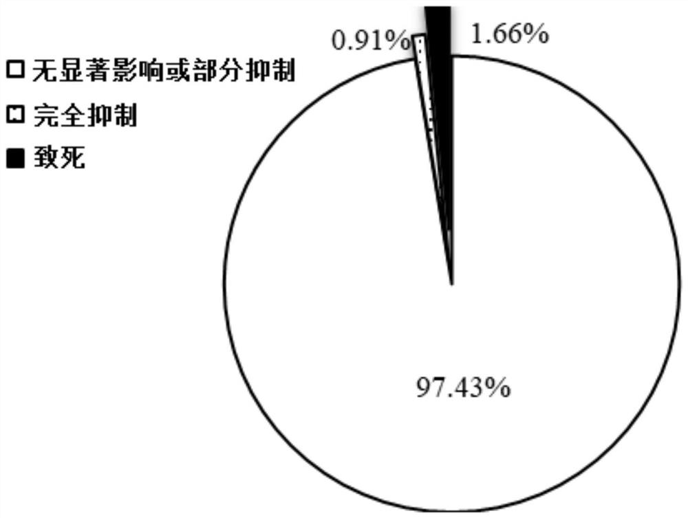 A method for preventing and controlling melon bacterial fruit spot and its special seed fungicide