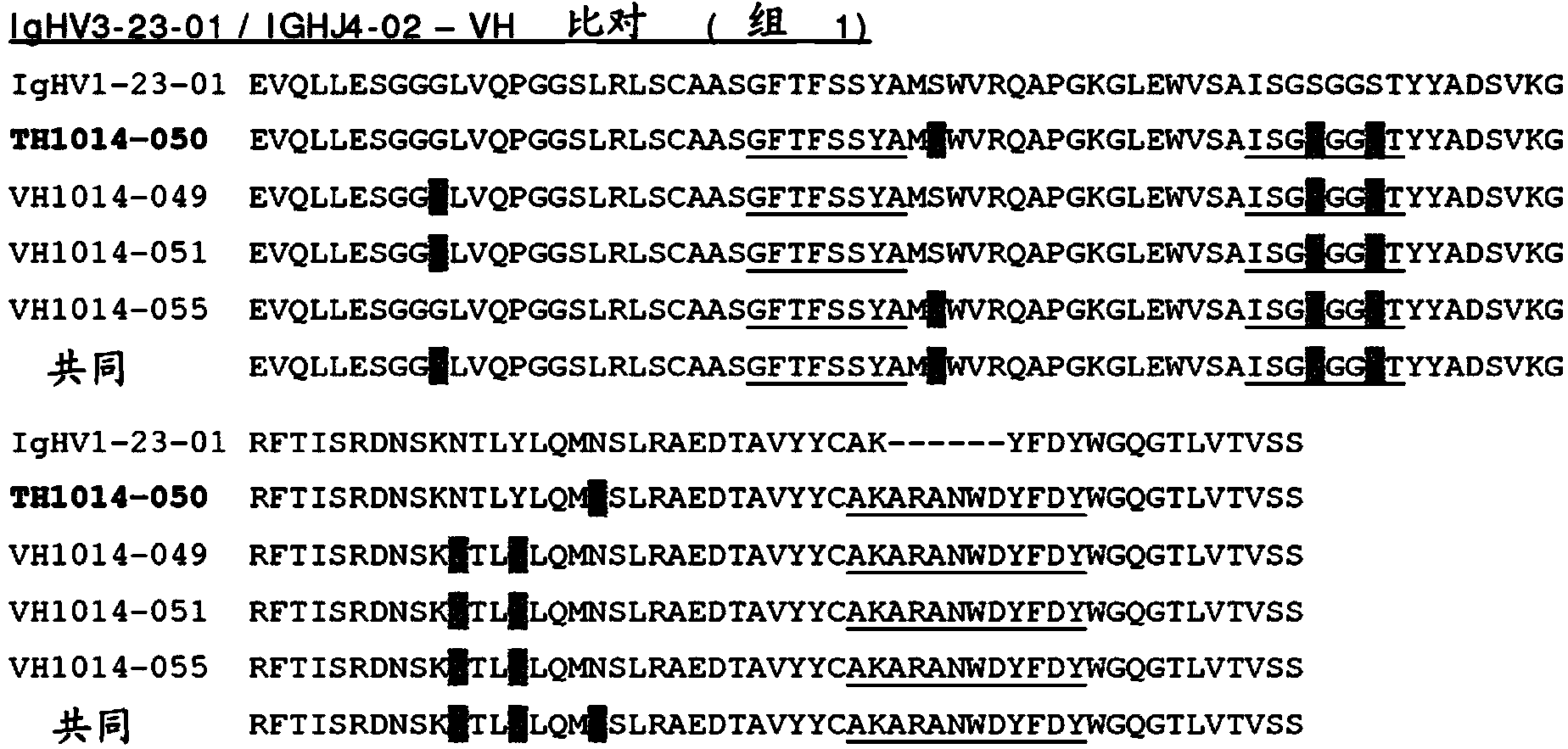 Bispecific antibodies against HER2 and CD3