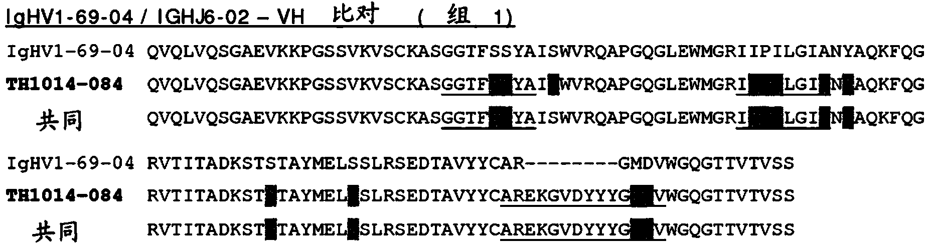 Bispecific antibodies against HER2 and CD3