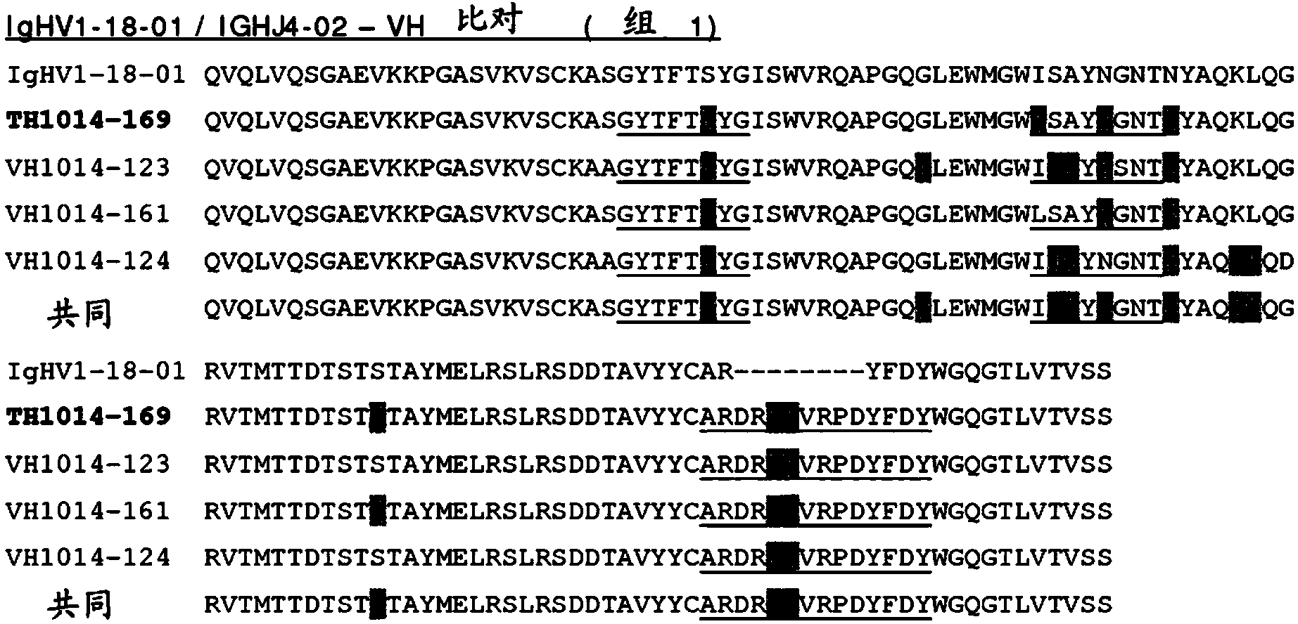 Bispecific antibodies against HER2 and CD3