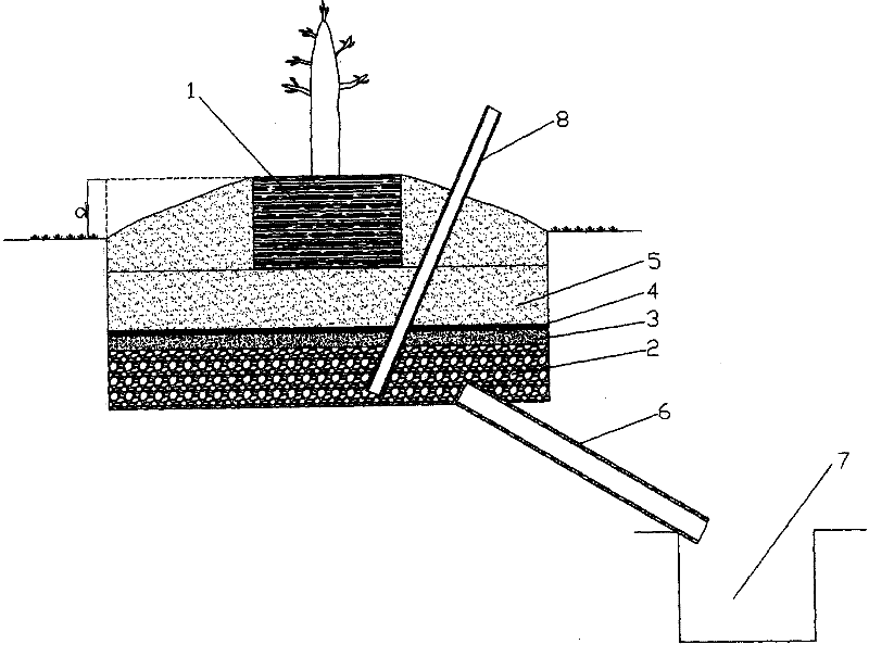 Drainage method in planting technique