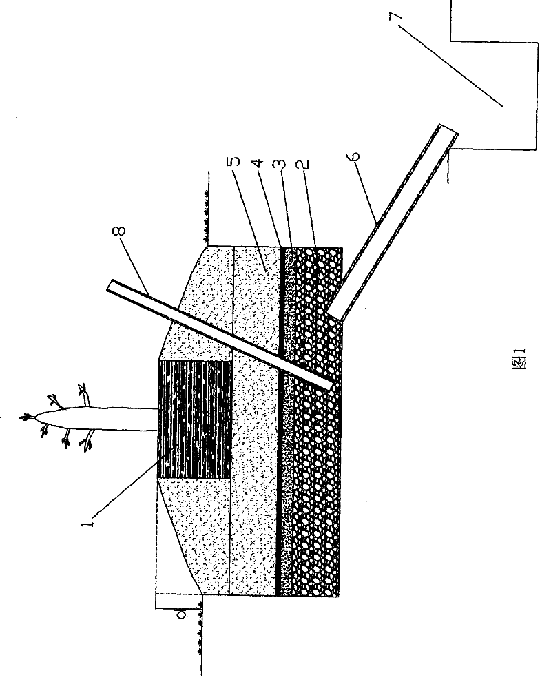 Drainage method in planting technique