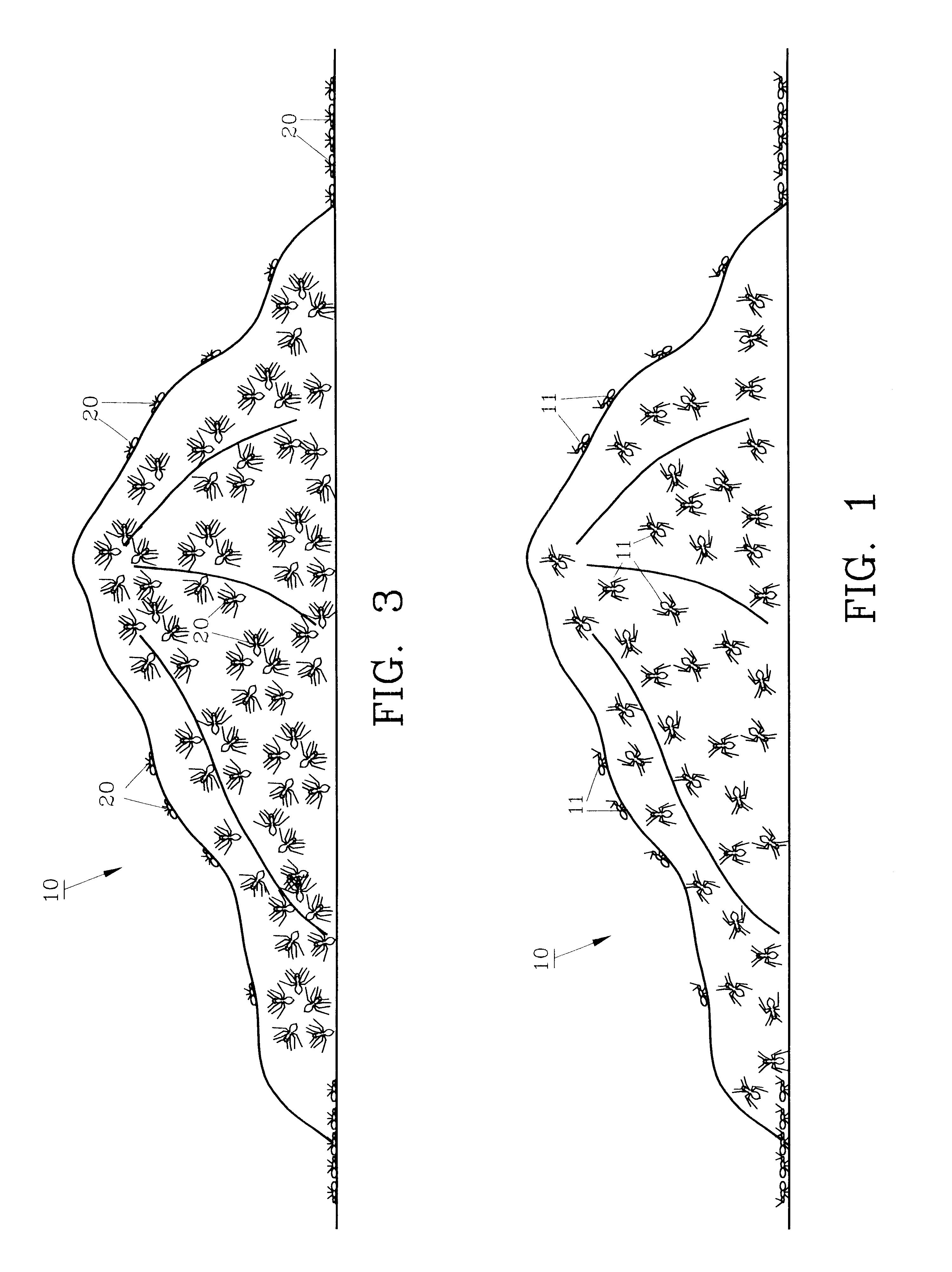 Insect eradicator and method