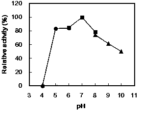 Escherichia coli engineered strain for producing allitol by virtue of biotransformation as well as construction method and application thereof