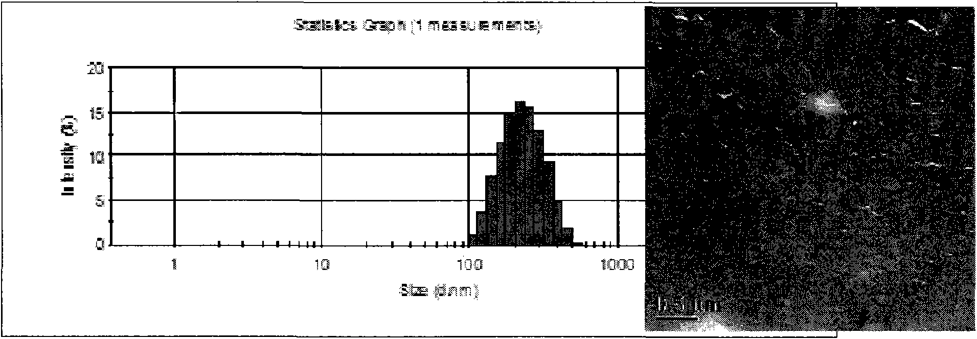 Uncharged amphiphilic chitosan nano drug carrier and preparation method and application thereof