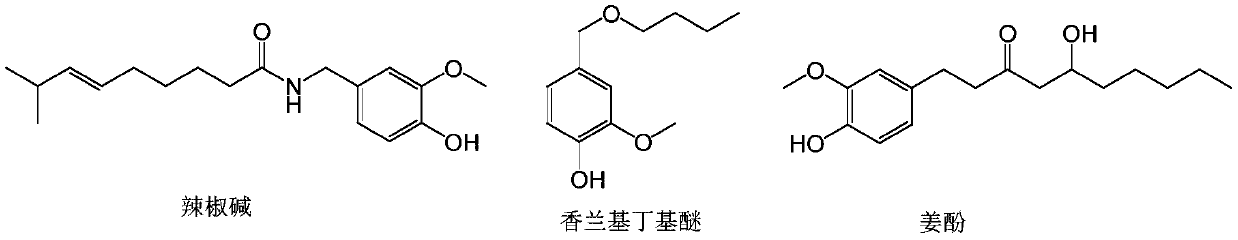 Warm facial mask and preparation method thereof