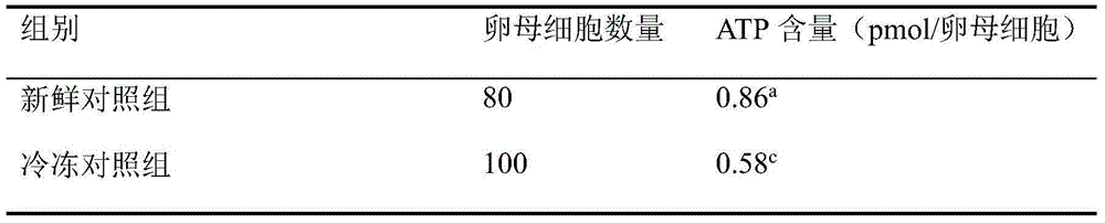 Method for efficiently protecting mitochondrial function of vitrified frozen bovine oocyte