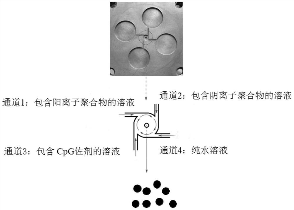 Universal CpGODN nanoparticle adjuvant as well as preparation method and application thereof