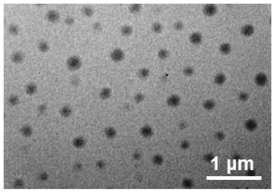 Universal CpGODN nanoparticle adjuvant as well as preparation method and application thereof