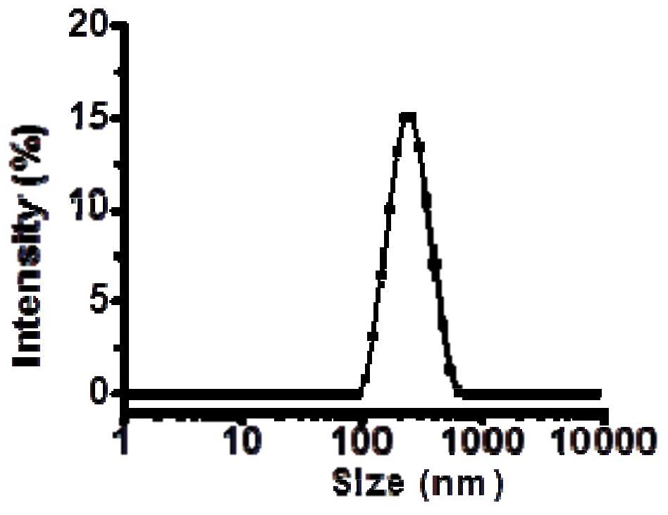 Universal CpGODN nanoparticle adjuvant as well as preparation method and application thereof