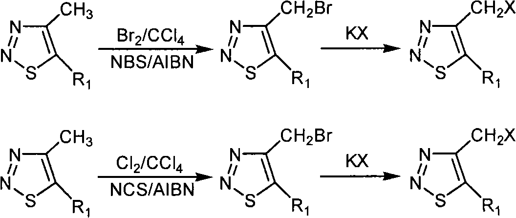 Group of 4-halogenated methyl-1, 2, 3-thiodiazole compounds and preparation method and application thereof