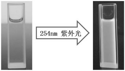 Silver-sodium mixed double perovskite alloy nanocrystal material, preparation and application thereof