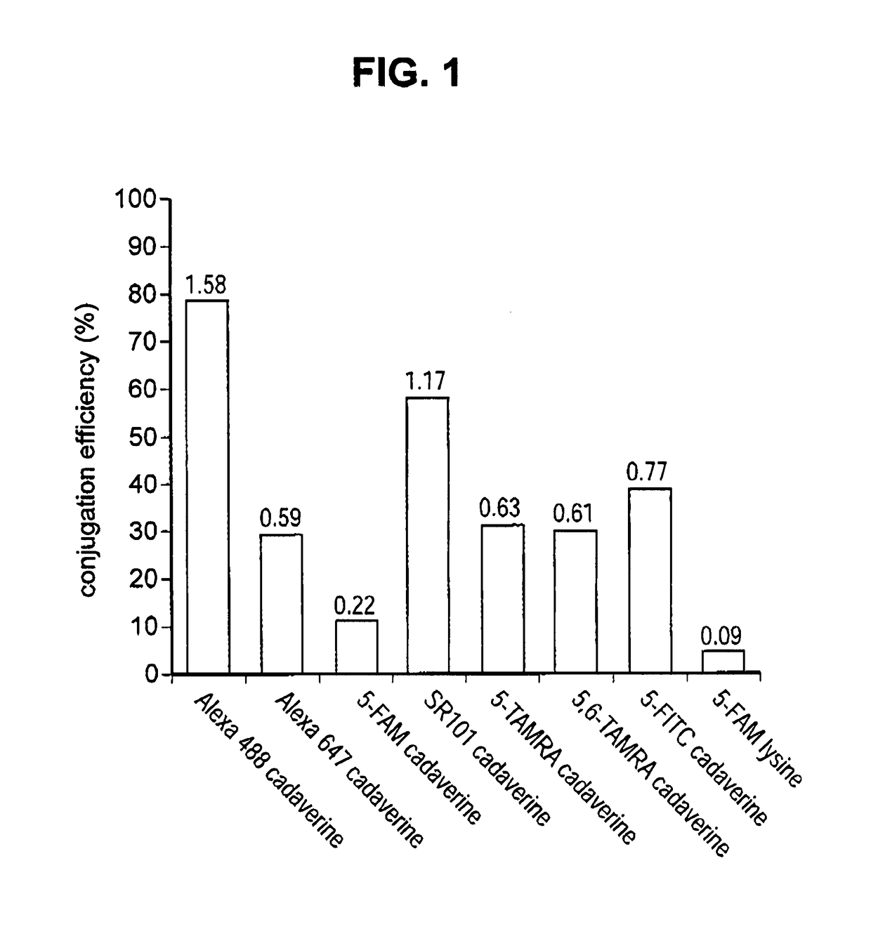 Engineered polypeptide conjugates and methods for making thereof using transglutaminase