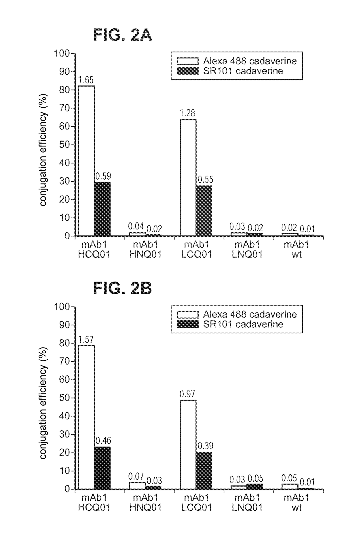 Engineered polypeptide conjugates and methods for making thereof using transglutaminase