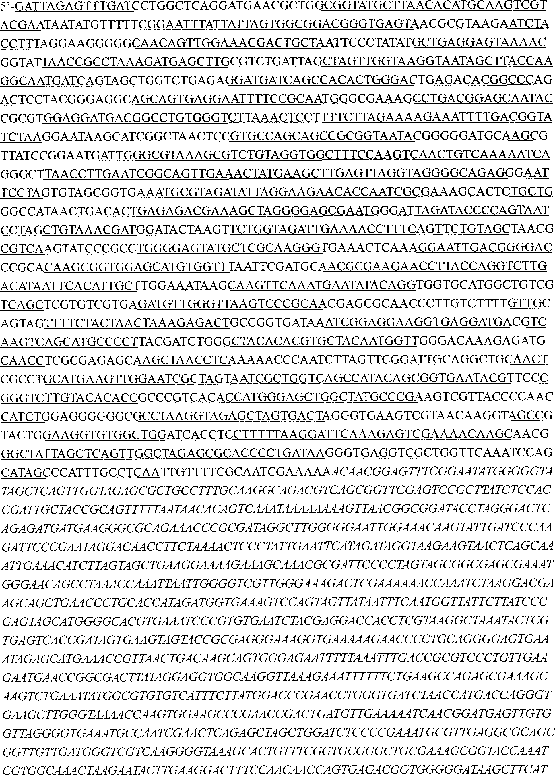 Method for constructing Platymonas subcordiformis chloroplast expression system