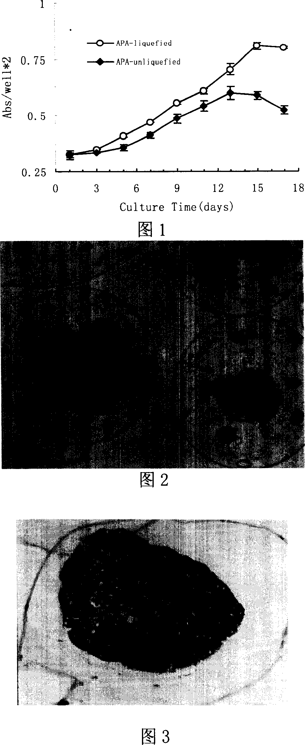 Method for construction of stem cell in-vitro multiplication and differentiation microenvironment