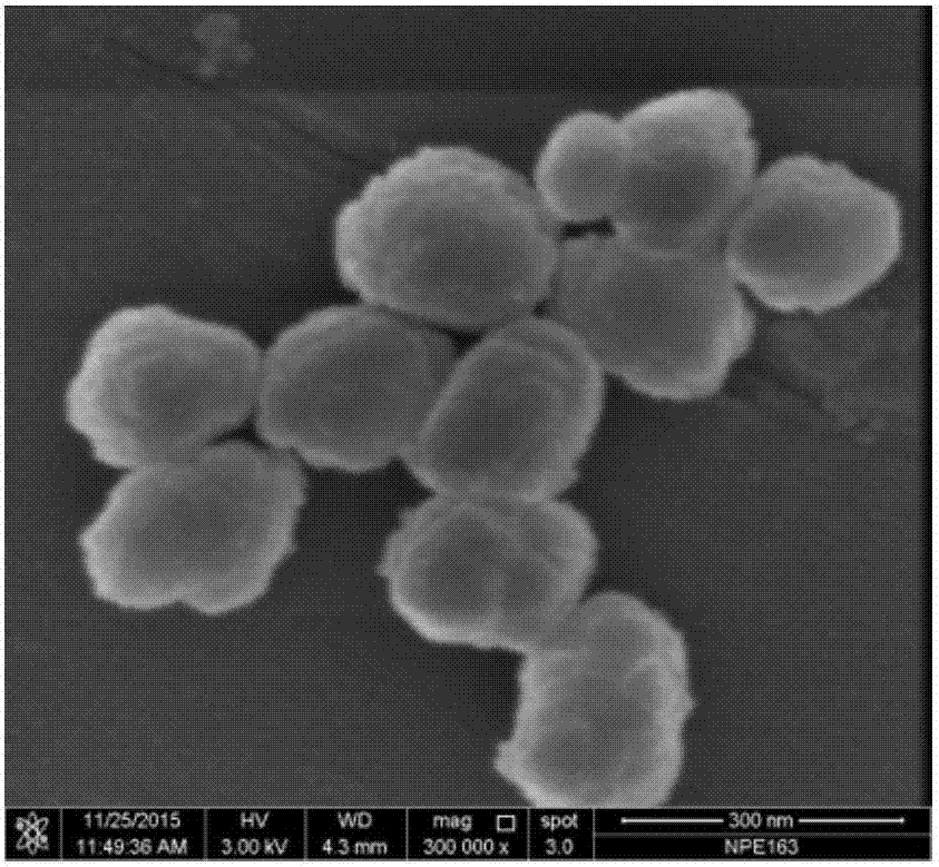 Method for preparing titanium silicon molecular sieve TS-1 with high framework titanium content