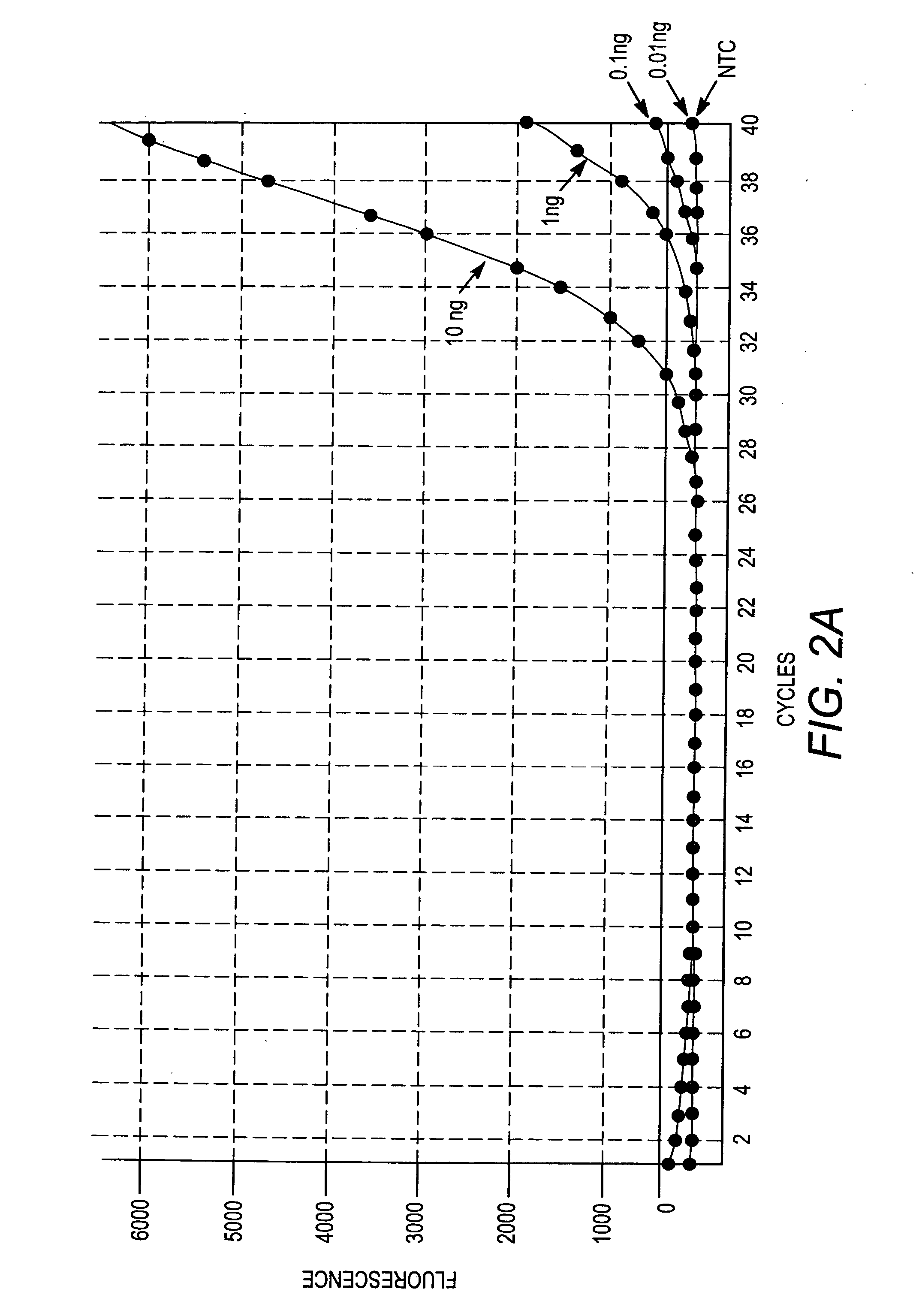 Normalization of samples for amplification reactions